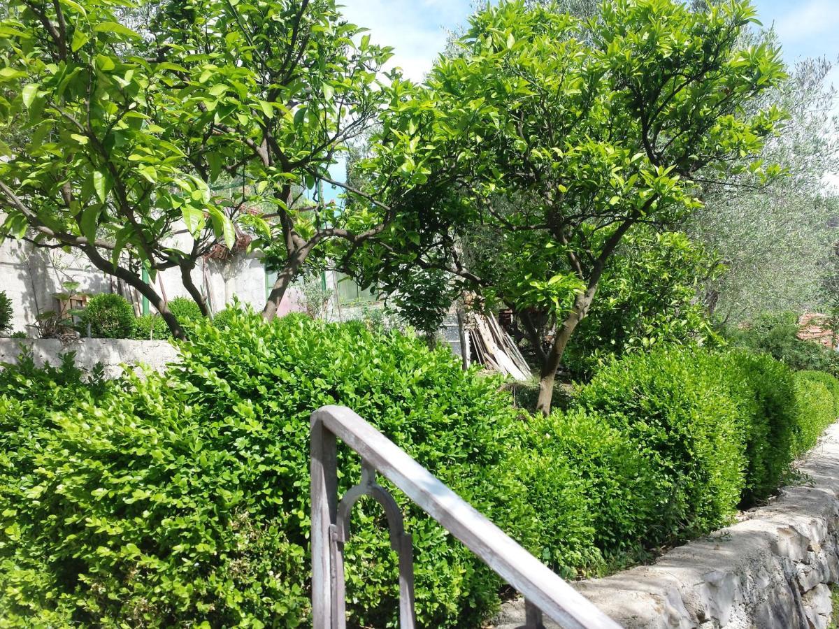 Hoxha Rooms Ulcinj Exteriér fotografie